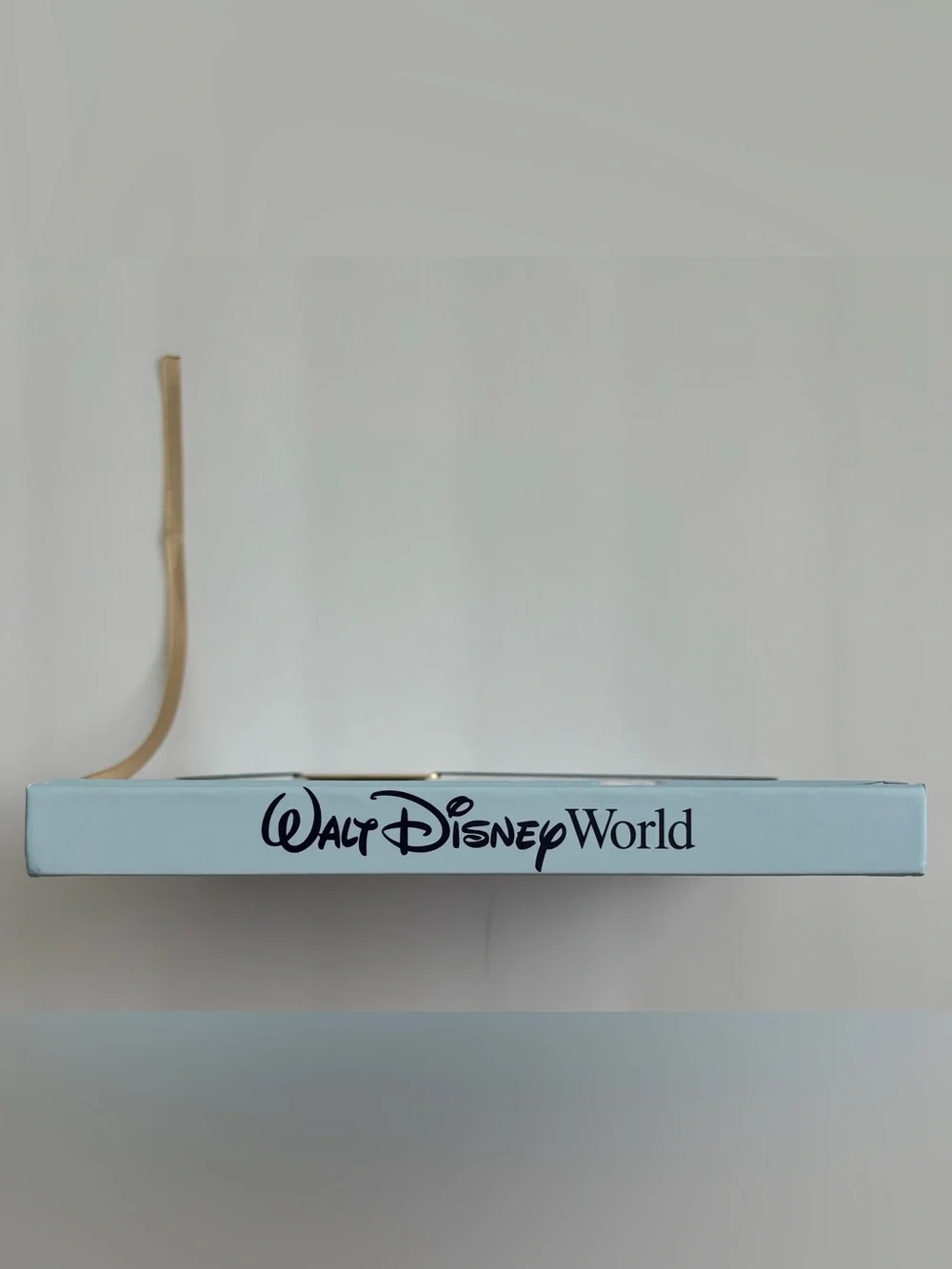 Walt Disney World Cinderella Castle Journal Notebook Lined Pages New